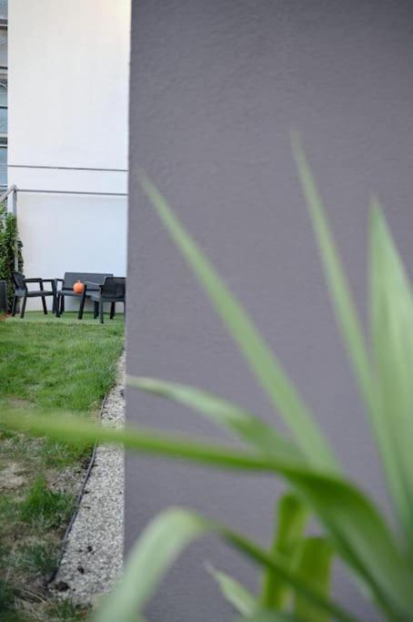 #Minehouse Διαμέρισμα Τιμισοάρα Εξωτερικό φωτογραφία